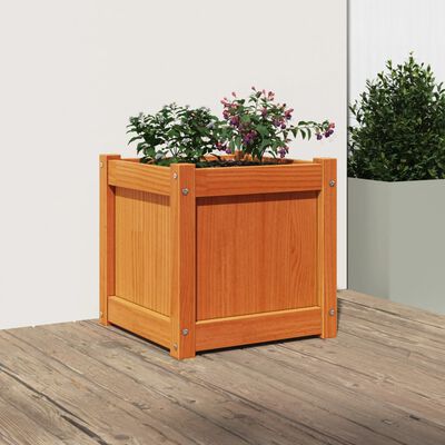 vidaXL plantekasse 40x40x40 cm massivt fyrretræ gyldenbrun