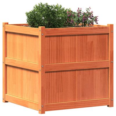 vidaXL plantekasse 70x70x70 cm massivt fyrretræ gyldenbrun