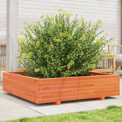 vidaXL plantekasse 100x100x26,5 cm massivt fyrretræ gyldenbrun