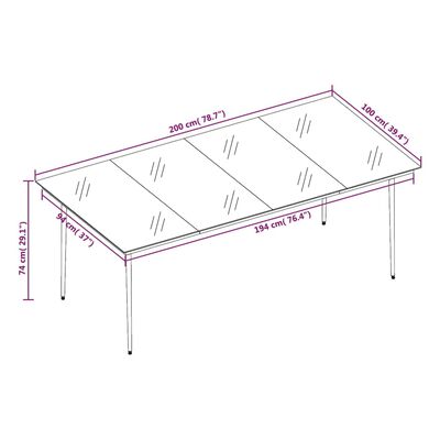 vidaXL havebord 200x100x74 cm stål og glas sort