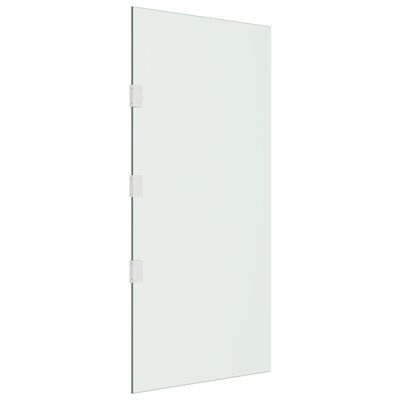 vidaXL sidepanel til dørbaldakin 50x100 cm hærdet glas transparent