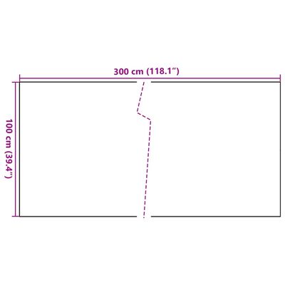 vidaXL altanafskærmning 300x100 cm polyrattan antracitgrå