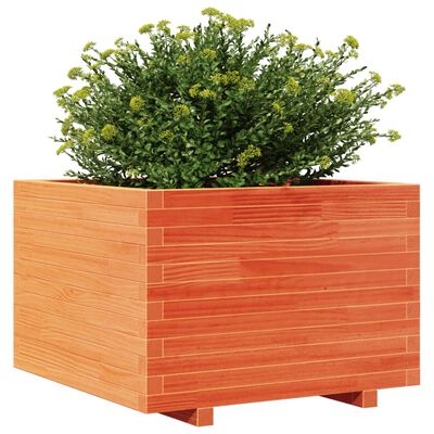 vidaXL plantekasse 70x70x49,5 cm massivt fyrretræ gyldenbrun